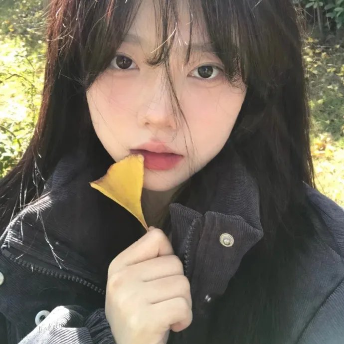 迷失丛林